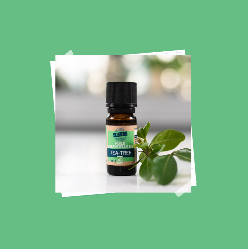 PRODUIT_visuel produit_ambiance_HE_teatree